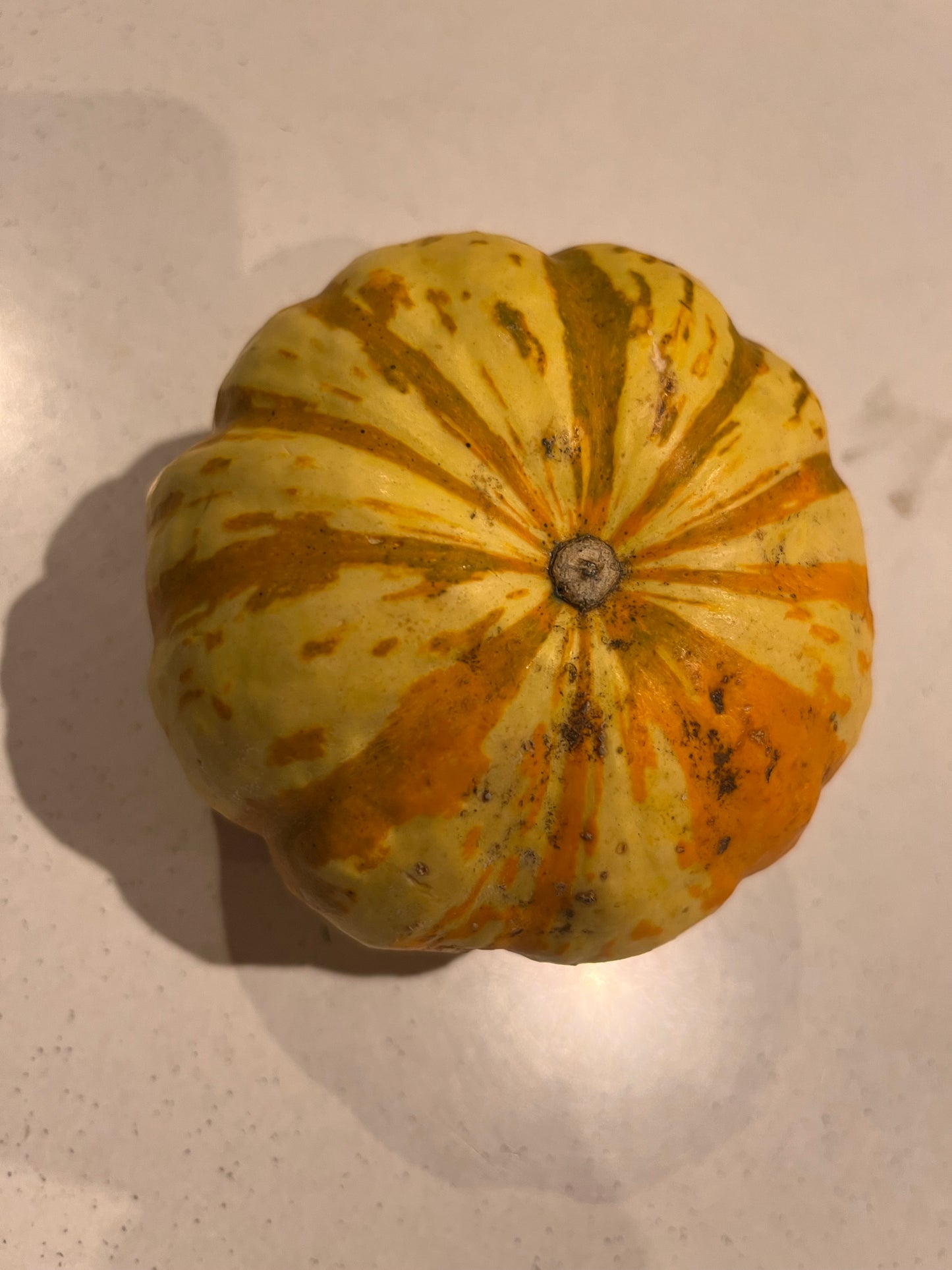 Organic Sweet Dumpling Squash Seeds