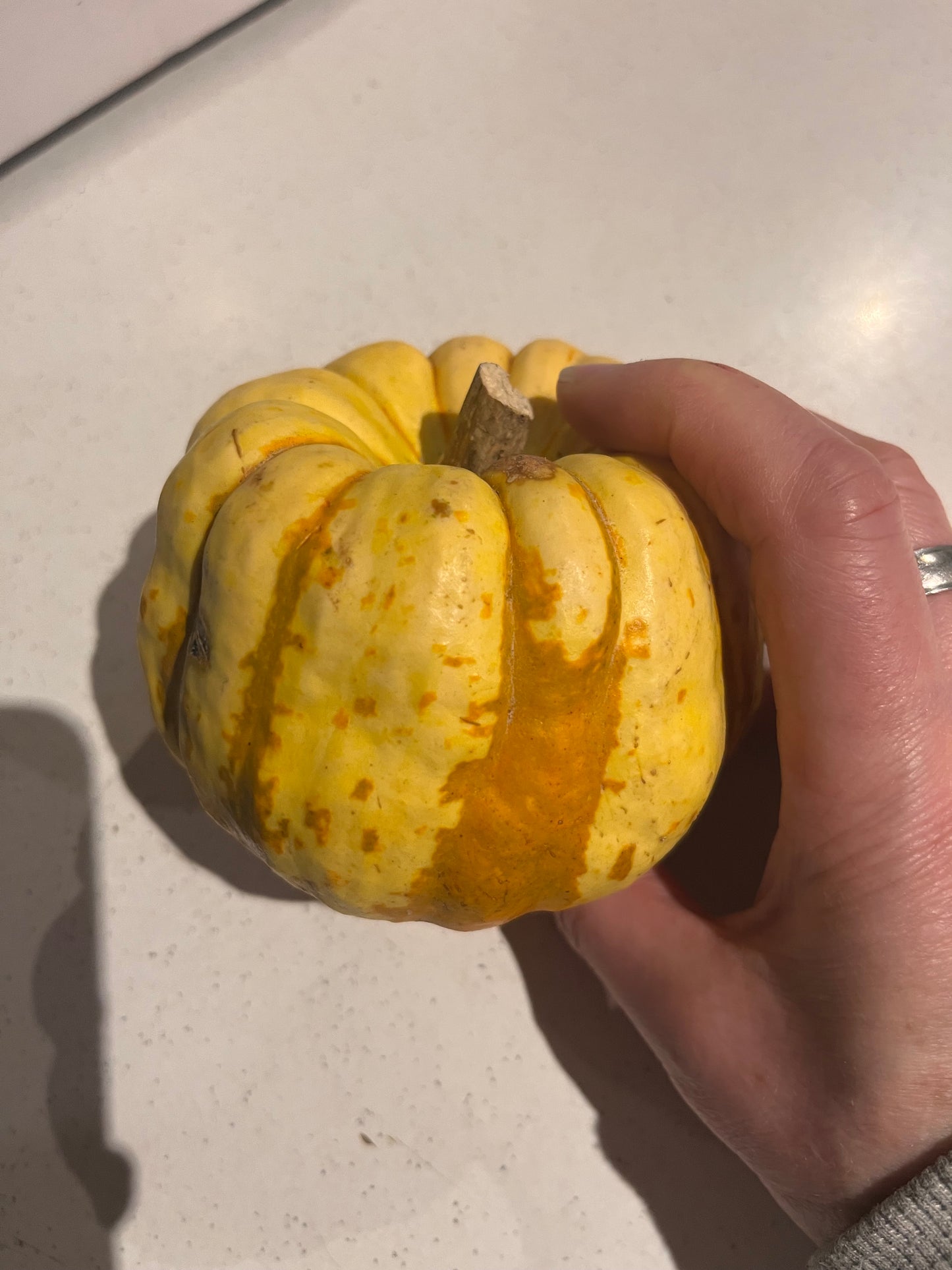 Organic Sweet Dumpling Squash Seeds