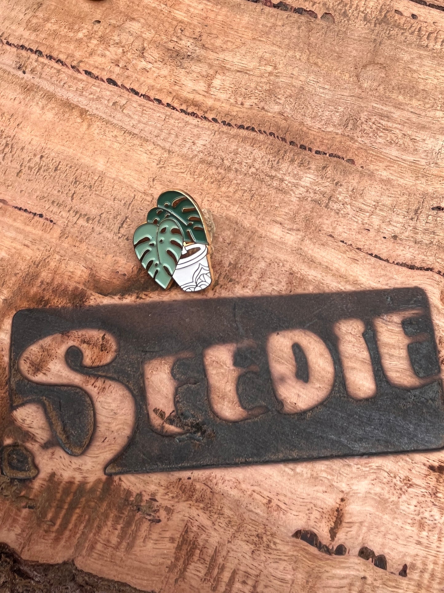 Monstera Pot Plant Enamel Pin 🪴