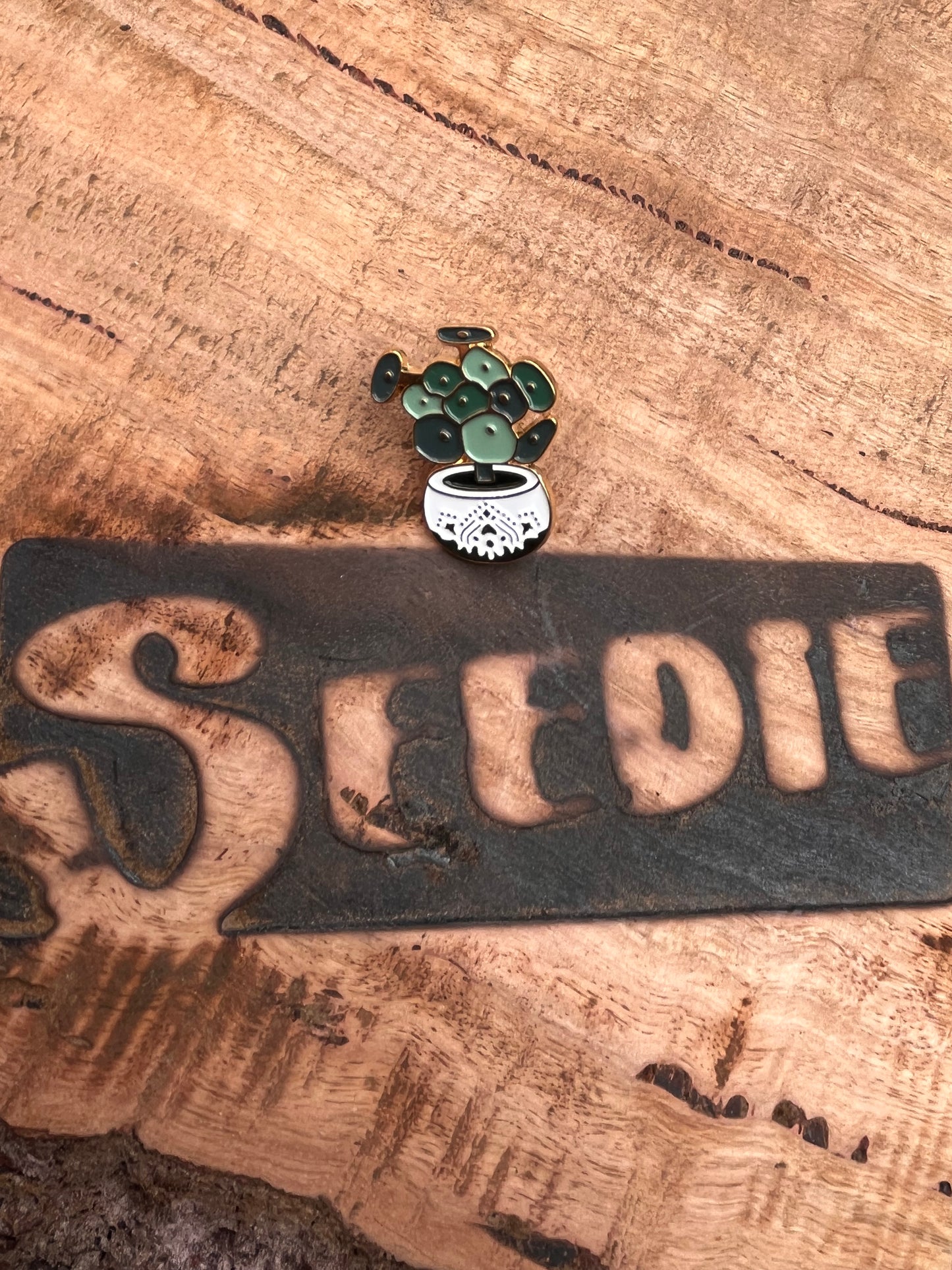 Chinese Money Plant (Pilea) in pot Enamel Pin