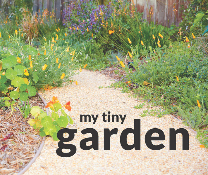 My Tiny Garden - Stylish Ideas for Small Spaces