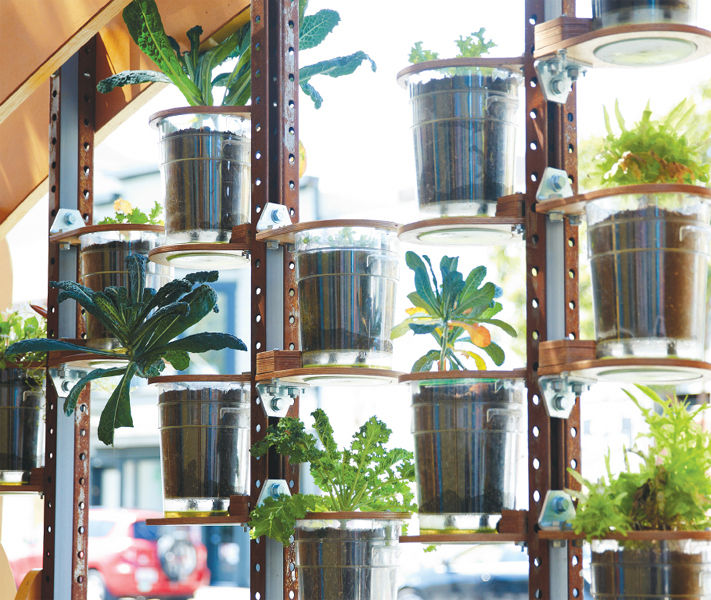 My Tiny Garden - Stylish Ideas for Small Spaces