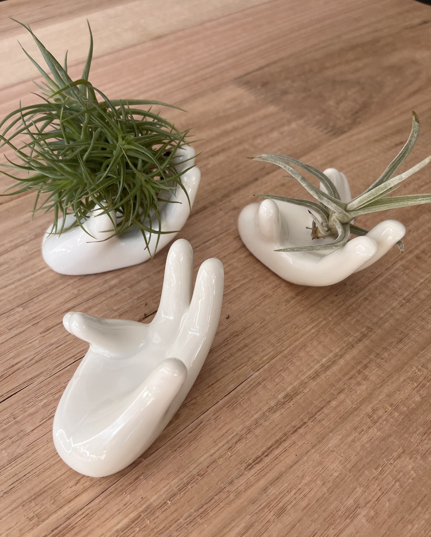 White Ceramic Hand Air Plant Holder