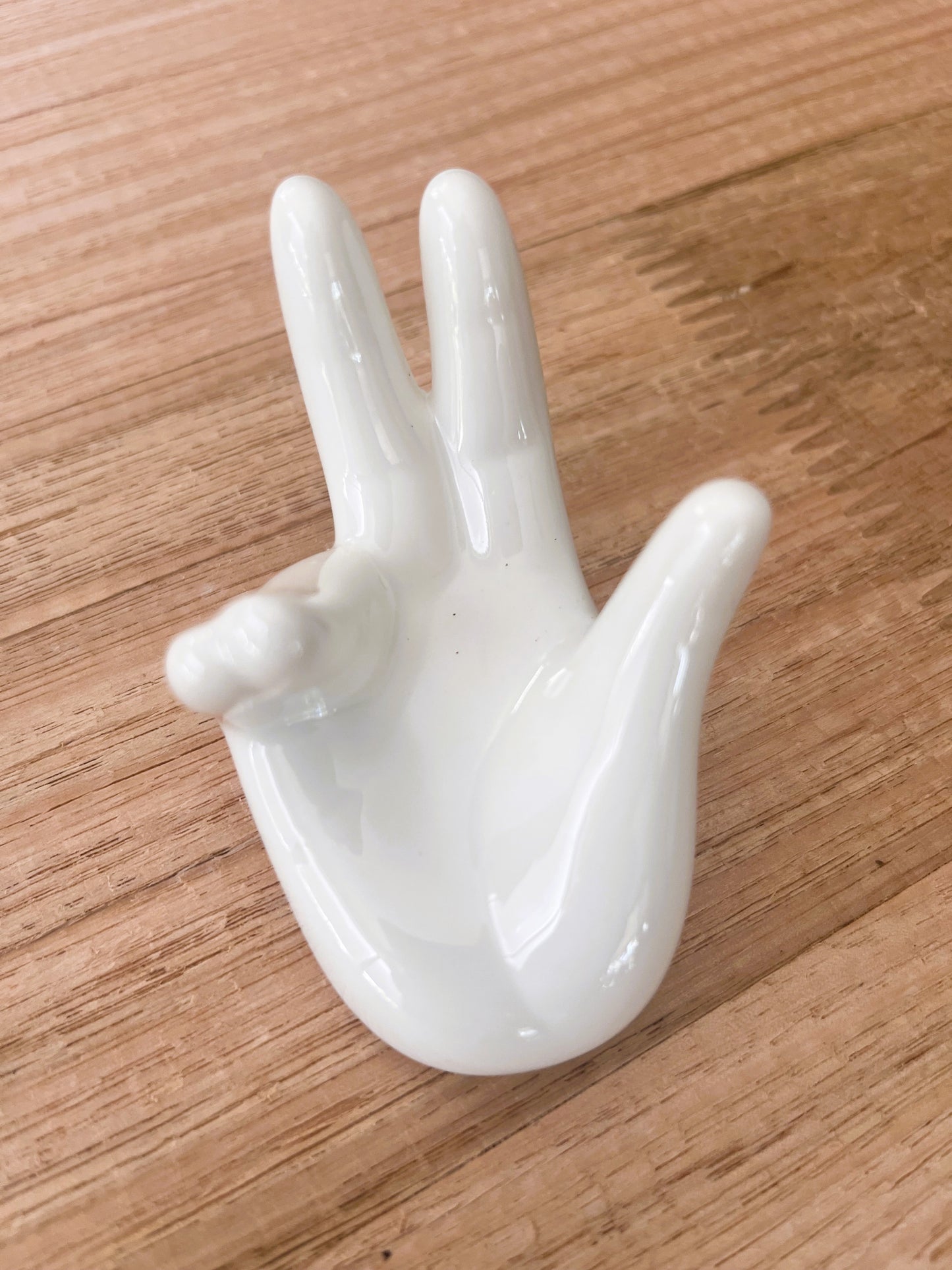 White Ceramic Hand Air Plant Holder