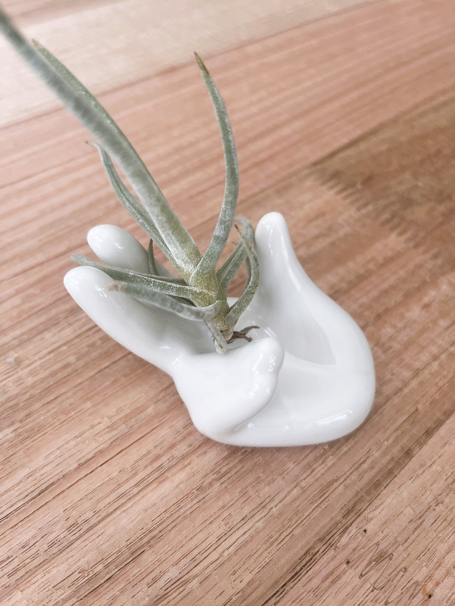 White Ceramic Hand Air Plant Holder