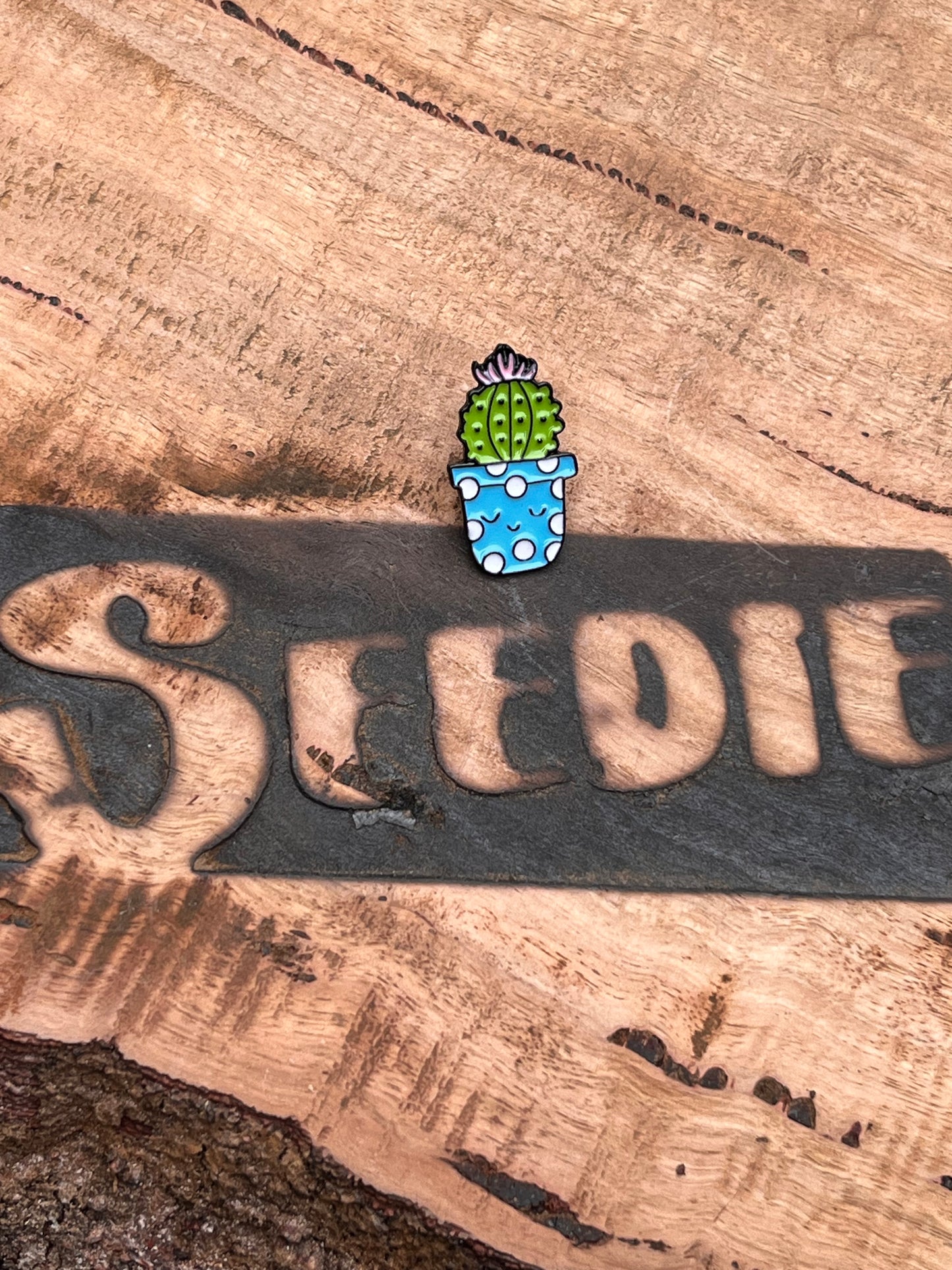 Blue Pot Happy Cactus Enamel Pin 🌵