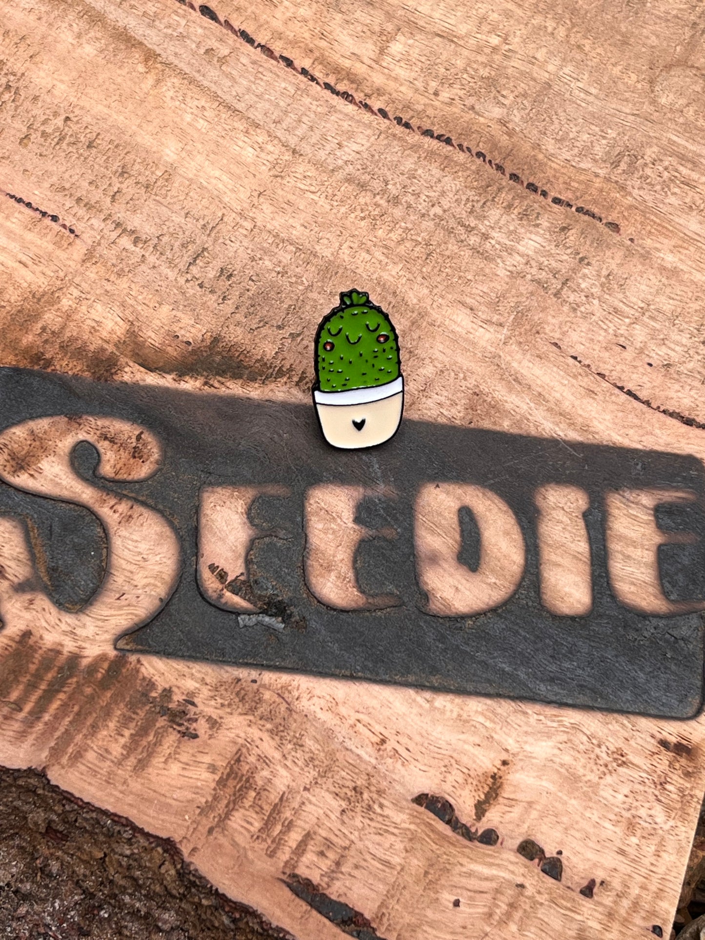 Happy Love Cactus Enamel Pin π΅π