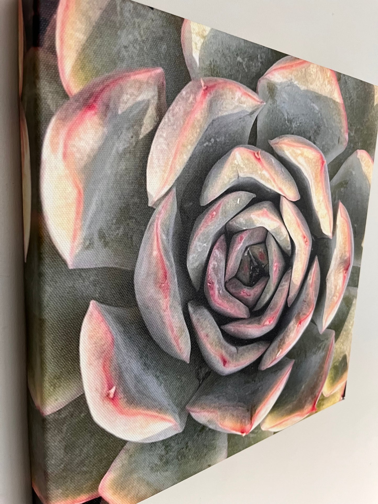 30cm x 30cm Canvas Print - Pink/Grey Succulent