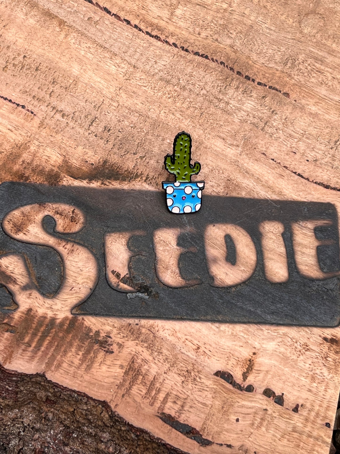 Little Amigo Cactus Enamel Pin 🌵